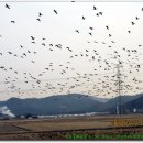 용현계곡입구 이미지