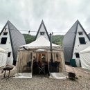 별을 담은 숲 이미지