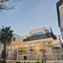 숯양두마리치킨 송정점 | 함덕해수욕장 치킨맛집 발견! 함덕치킨 숯양두마리치킨 제주함덕점 방문 후기