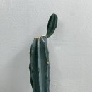 여기는미용실 | 내돈내산 강릉 헤어샵 강릉 미용실 추천 ’여기는 미용실 ‘