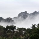 오늘도 신선 이미지