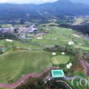 대중제 골프장(9홀) 이미지