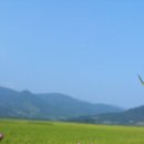 에코맘 협동조합 네이버블로그