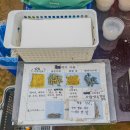 유인농장 | 나눔농장 파주 / 입장료 가격, 예약 / 아이랑 동물 먹이주기 /수확 체험 총정리