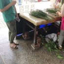 새경산꽃직판장 이미지