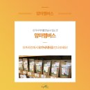 맘마멤버스 - 13537 | 맘마멤버스