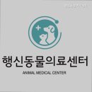 행신동물의료센터 | 일산동물병원 행신동물의료센터 전문성과 안전을 갖춘 동물병원