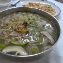 정선농장 | 76. [강릉 맛집] &#34;정선 이모네 식당&#34; 솔직후기 – 정선 농장 신선재료로 만든 콧등치기 국수와 파전