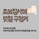 루이 펫 살롱 | 초보집사의 마데이라쌀롱 캣휠 구입기(캣휠 고르기)