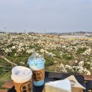 토성목장 네이버블로그