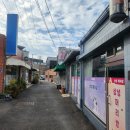 [밀양 맛집] 밀양 우동 원탑 아줌마우동 제 점수는요..? +요아정 밀양