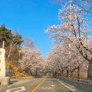 고복1리마을회관 이미지