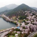 한수제 일원 이미지