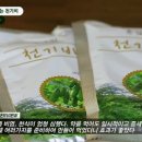 엠에스코리아 이미지