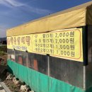 금광잉어빵 | [안성] 안성에서 제일 맛있는 붕어빵/잉어빵 맛집 금광면 '황금잉어빵'