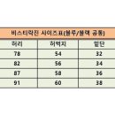 바이크진