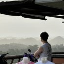 보홀 육상 투어 후기 (내돈내산) ICM, 로복강, 짚라인, 나비농장, 안경원숭이, 초콜렛 힐