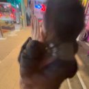 예강기획 이미지
