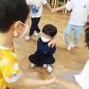 여우야여우야