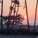 아그리나 시즌2 이미지