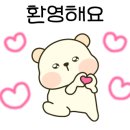 시흥탑애견미용학원 네이버블로그