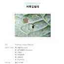 홍천군농업기술센터 동부지소 | 홍천 귀농교육센터 생활기(9주차) : 강낭콩, 옥수수 모종 옮겨심기와 비닐하우스 설치 실습 (220502-05)