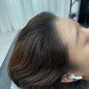 필프로헤어