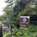 태원 | 부산 태종대 유람선 - 태종대 반바퀴 돌아보는 태원유람선 내돈내산 후기