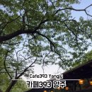 까페393 양주