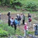 월평동산성 이미지