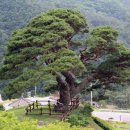 산솔마을 이미지