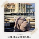 그린상점가 | NOL 후쿠오카 버스패스 그린패스로 시내만 다녀본 후기