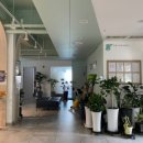 김소아청소년과의원 이미지