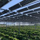 영동에너지태양광발전소 | 🌞 영동군 영농형 태양광 설치, 농지에서 만드는 안정적 부가수익