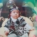 터트 이미지