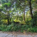 색달동-19 이미지