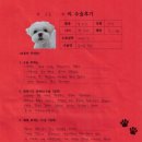 1473 | [#1473] 구름(양측 슬개골탈구)의 수술후기