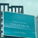 티파니(TIFFANY) 이미지