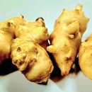 뚱단지로 불리는 돼지감자 효능과 영양성분 이미지