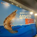 배스킨라빈스공업탑점 | 울산 새우회 맛집 오도리 먹으러 공업탑 황제새우마을 내돈내산 솔직 후기