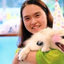 제이 애견 호텔 이미지