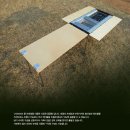 웰시스 이미지