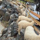 채운목장 이미지