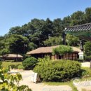 김원대「인생」 이미지