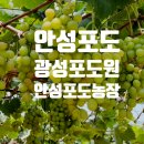 광성농원