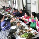 엉게나무 이미지