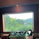 산성로 | 경기 광주 대형 카페 : &#39;남한산성 류&#39; (애견동반 O) 후기