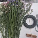 리스(219) 이미지