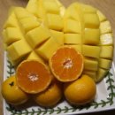 과일집딸래미 이미지