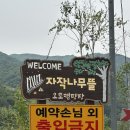자작나무뜰 오토캠핑장 | 25년도 두 번째 캠핑_함양 자작나무뜰 오토캠핑장